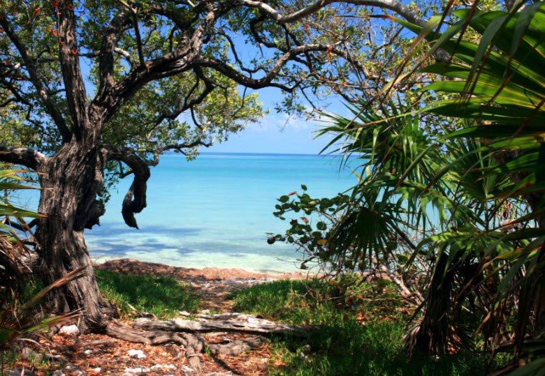 Lignumvitae Key Botanical State Park, Florida, USA